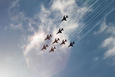 Low angle view of birds flying against sky