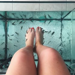 Low section of woman receiving fish massage in swimming pool