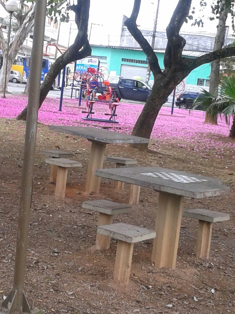 chair, tree, absence, sunlight, bench, day, park - man made space, empty, table, built structure, nature, outdoors, flower, growth, beach, relaxation, seat, building exterior, incidental people, tree trunk