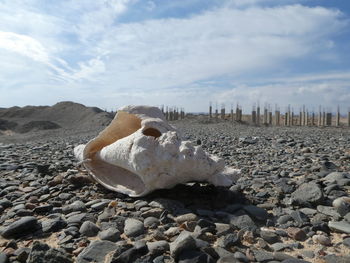 Rocks on beach against sky