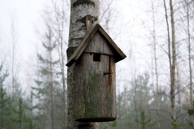 Wooden post in forest during winter