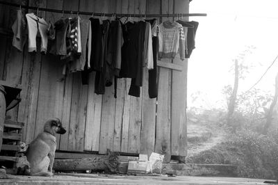 Clothes drying on the wall