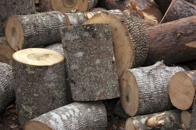 High angle view of wooden logs