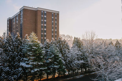 Plants growing by building against sky during winter