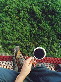 Low section of man holding coffee cup while sitting over trees