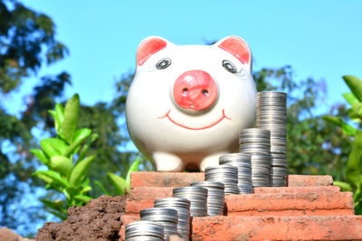 Close-up of piggy bank and coins