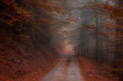 Dirt road amidst trees in forest during autumn