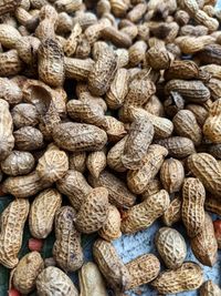 Peanuts harvested by farmers