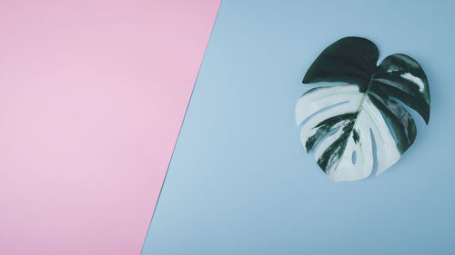 Low angle view of pink umbrella against blue sky