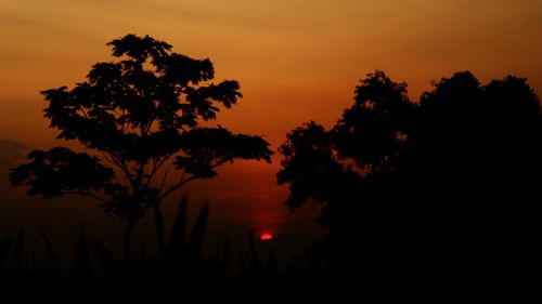 Silhouette trees against sky at sunset