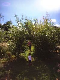 Full length of woman standing on tree trunk