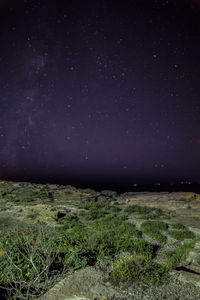 Scenic view of field against sky at night