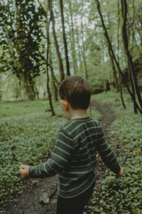 Rear view of boy standing on path in forest