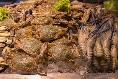 Close-up of crab for sale in market