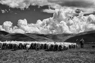 Scenic view of landscape against cloudy sky