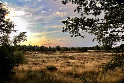 Scenic view of field against sky during sunset