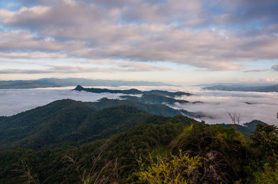 Scenic view of landscape against sky