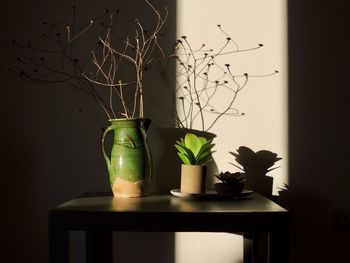 Close-up of potted plant on table against wall at home natural sun light