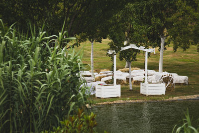 Chairs and trees in park