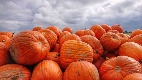 Stack of pumpkins for sale in market