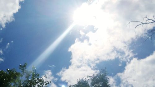 Low angle view of trees against blue sky on sunny day