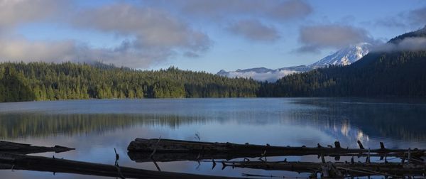 Scenic view of mt rainier from packwood lake at sunrise. 