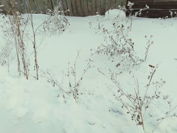 Close-up of frozen water