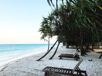 Palm trees on beach against sky