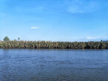 Scenic view of lake against blue sky