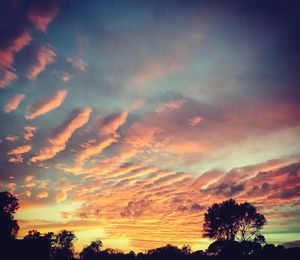 Low angle view of silhouette trees against sky during sunset