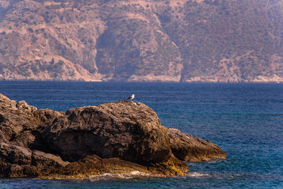 Scenic view of sea