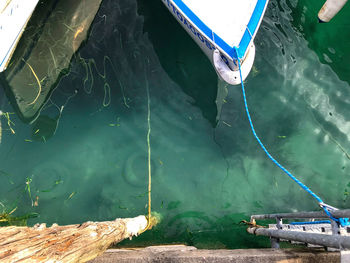 High angle view of swimming in sea