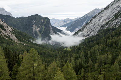 mountain