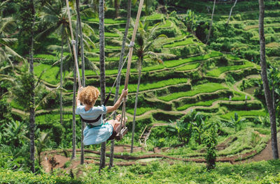 Rear view of woman swinging in forest