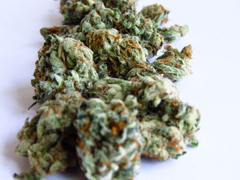 Close-up of vegetables against white background