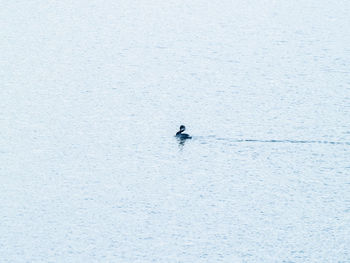 High angle view of person on sea during winter