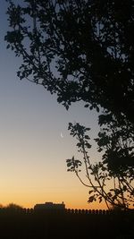 Low angle view of silhouette trees against sky at sunset