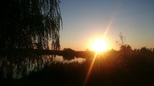 Silhouette trees by lake against sky during sunset