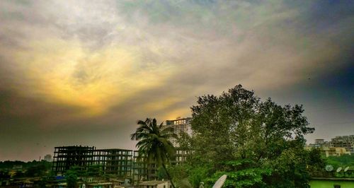 Palm trees in city against storm clouds