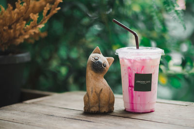 Close-up of cat on table