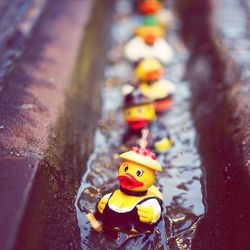 Close-up of multi colored toy