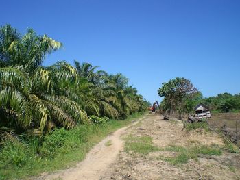 Road passing through landscape