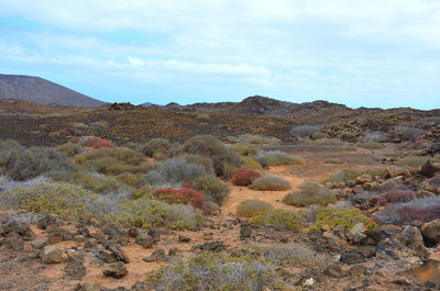 Scenic view of land and mountains against sky