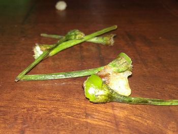 High angle view of green chili pepper on table