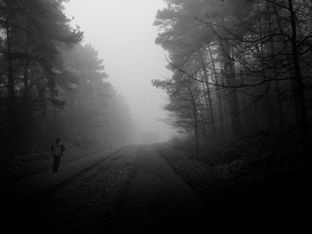 Rear view of silhouette person walking on road in foggy weather