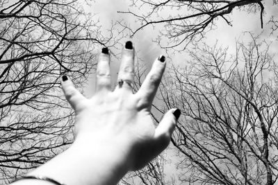 Low angle view of person hand against bare tree