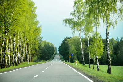 Empty road amidst trees against sky