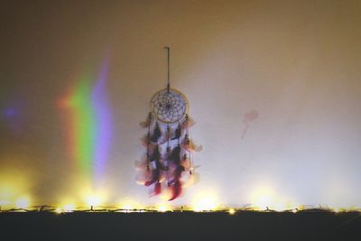 Close-up of bee against illuminated sky at night