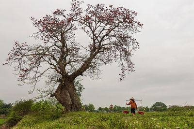 Woman standing by tree on field against sky