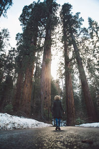 Rear view of woman walking in forest